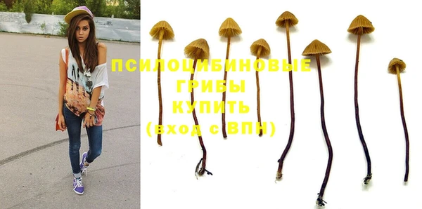 винт Абинск