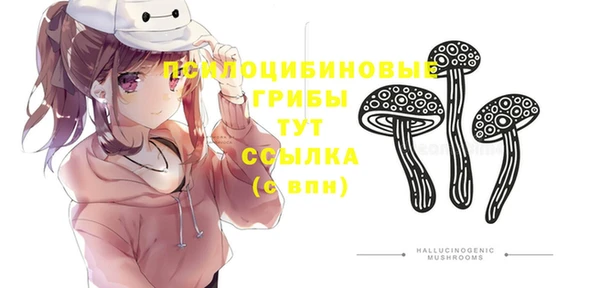 винт Абинск