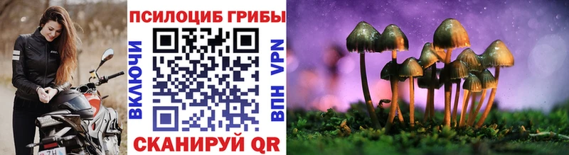 Псилоцибиновые грибы Psilocybe Лысьва